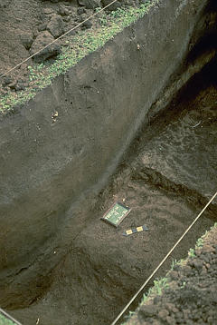 Excavation profile of a prehistoric footpath